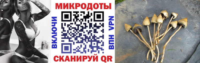 Галлюциногенные грибы GOLDEN TEACHER  Березники 